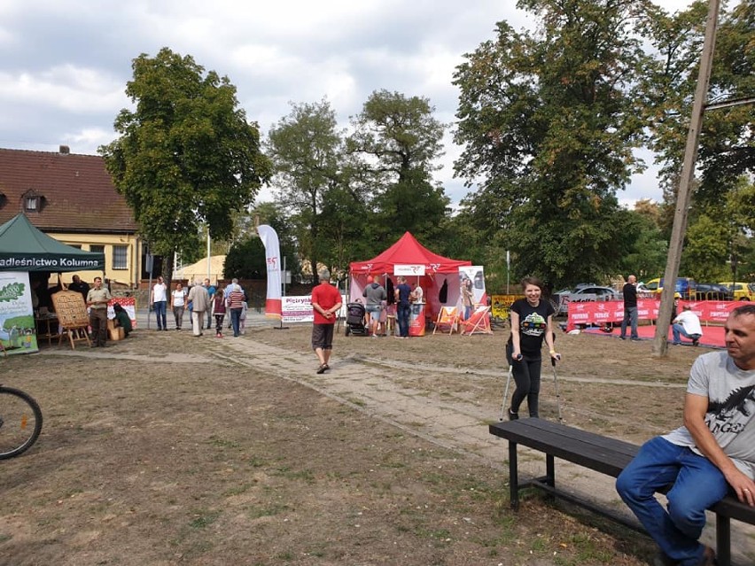 Pociag do Kolumny. Druga edycja festiwalu sztuki [zdjęcia i wideo]