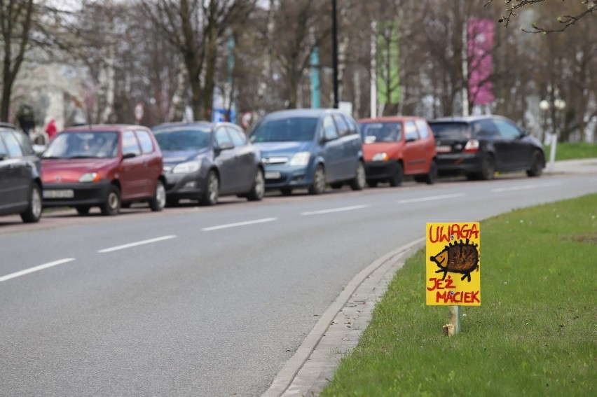 Tabliczki stworzone przez pana Sebastiana zobaczymy m.in. w...