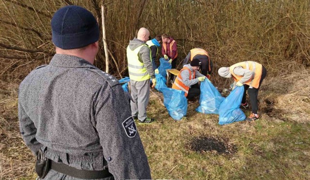 Więźniowie sprzątali śmieci wokół Zalewu Sulejowskiego