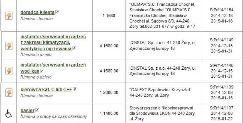 Oferty pracy Żory: Sprawdź, jakie są. Ile możesz zarobić?