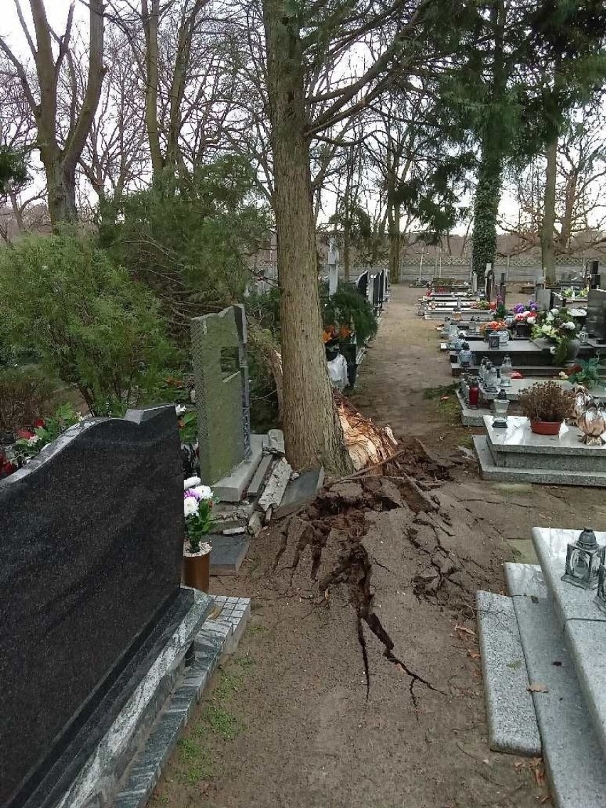 Wiatr przechylił drzewo na cmentarzu przy ul. Piaskowej w...