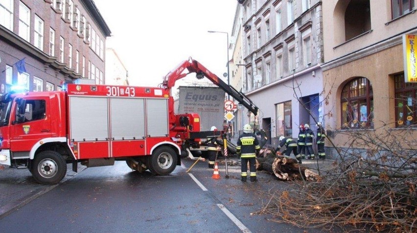 Opole: Na ulicy Reymonta TIR zahaczył odrzewo i wyrwał je [ZDJĘCIA]