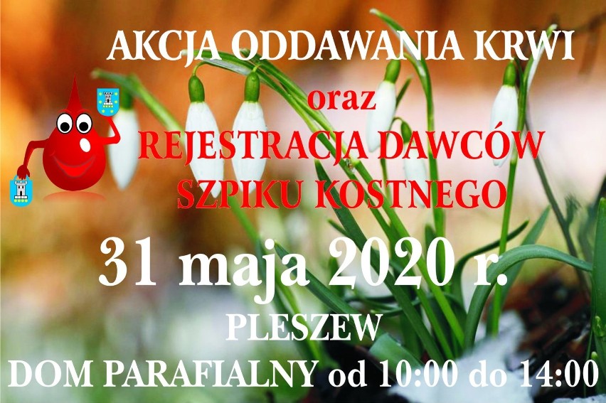 31 maja w Domu Parafialnym w Pleszewie odbędzie się kolejna akcja oddawania krwi