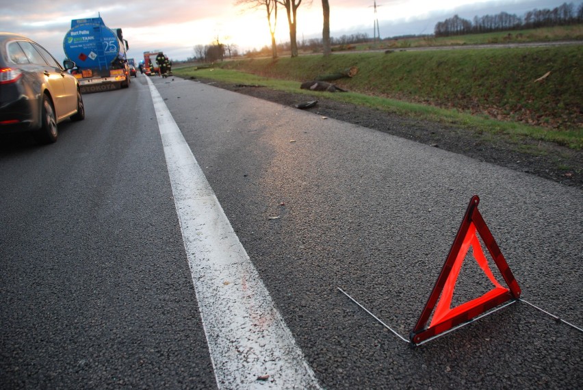 Cedry Małe/Kiezmark: Wypadek na S7. Na jezdnię wybiegł łoś, uderzył w trzy samochody [ZDJĘCIA]