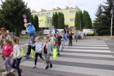 Uczniowie z Kraśnika uczyli się jak przechodzić przez przejście dla pieszych. Akcja "Bezpieczna droga do szkoły" w Kraśniku 