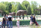 Nowe zasady bezpieczeństwa w zoo w Chorzowie. Obowiązkowe maseczki i limit gości