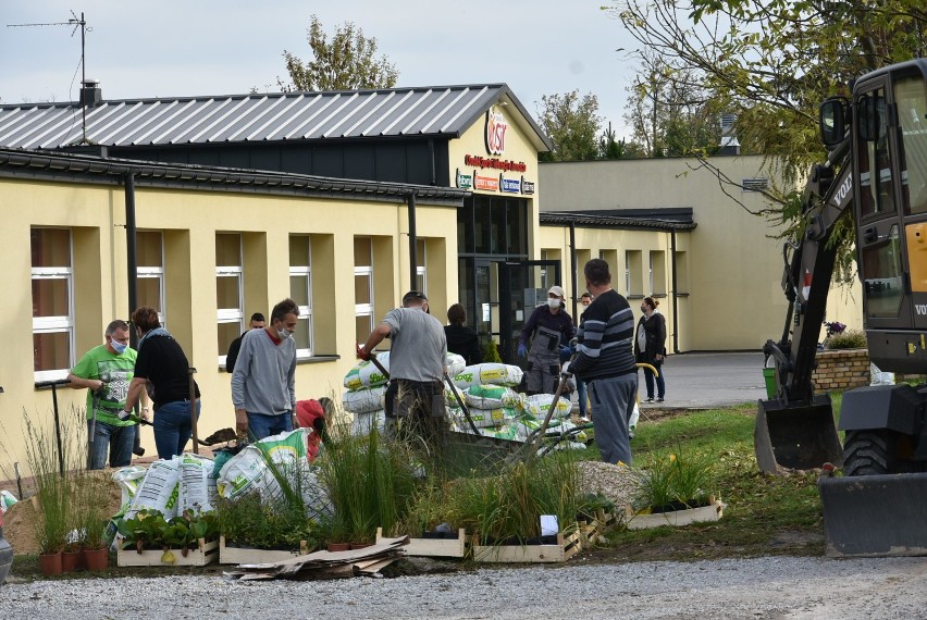 Pierwsze ogrody deszczowe w Zamościu. Do ich zakładania zaproszono mieszkańców miasta. Zobacz na zdjęciach