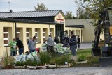 Pierwsze ogrody deszczowe w Zamościu. Do ich zakładania zaproszono mieszkańców miasta. Zobacz na zdjęciach