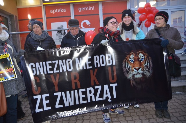 Gnieźnianie przyłączyli się do ogólnopolskiej akcji pod hasłem "cyrk bez zwierząt". Najwięcej kontrowersji wśród organizatorów manifestów, które mają miejsca w różnych miastach na terenie całej Polski, budzi kwestia tresury zwierząt. 

Zobacz więcej:Gnieźnianie również "nie chcą cyrku ze zwierzętami". Ulicami centrum przeszła dziś manifestacja 