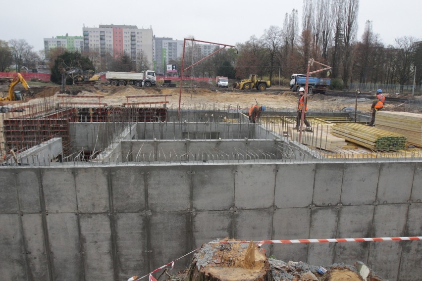 Trwa budowa nowego Egzotarium w Sosnowcu. Zamiast wycięcia z...