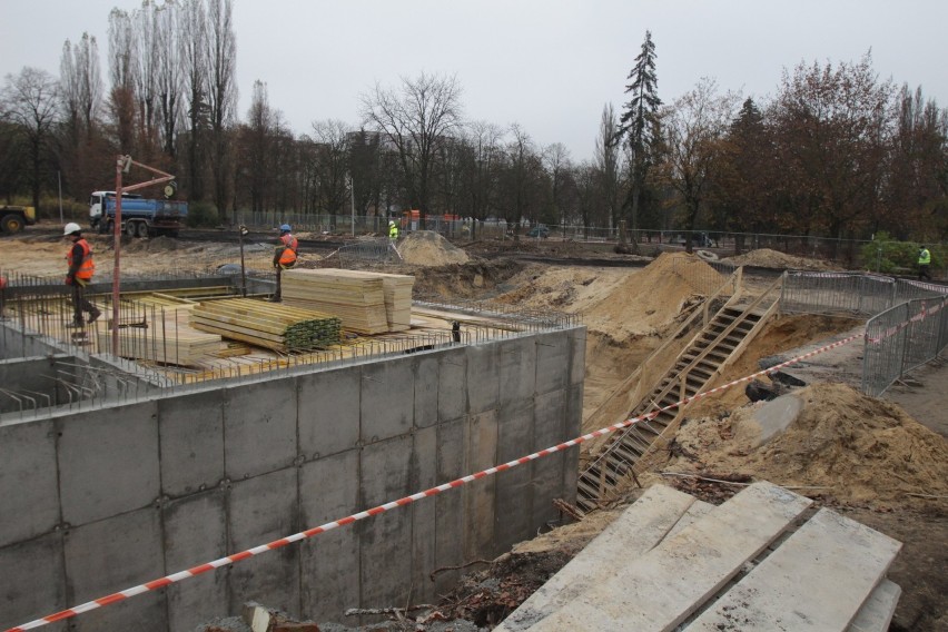 Trwa budowa nowego Egzotarium w Sosnowcu. Zamiast wycięcia z...
