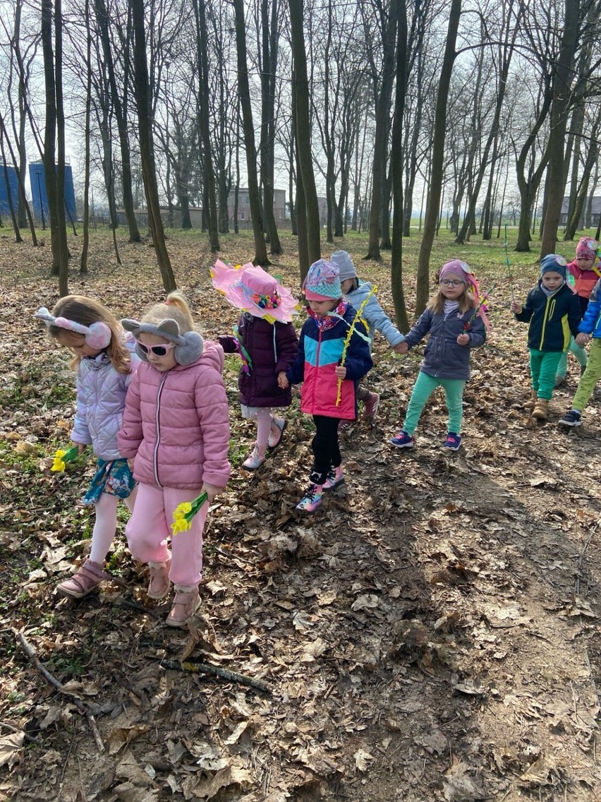 Przedszkolaki z Zapolic pożegnały zimę i przywitały wiosnę...
