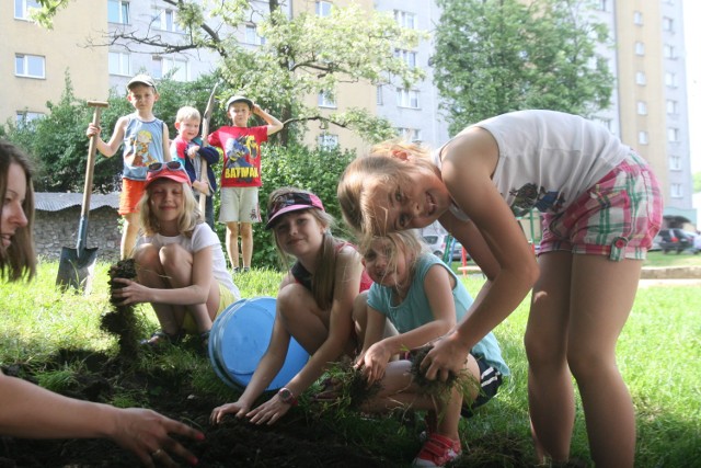 Pomnikowa w Raciborzu zakasała rękawy