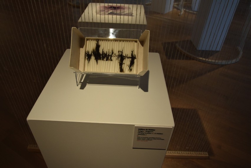 Miniatury tkackie opanowały Muzeum Miasta Gdyni [zdjęcia]