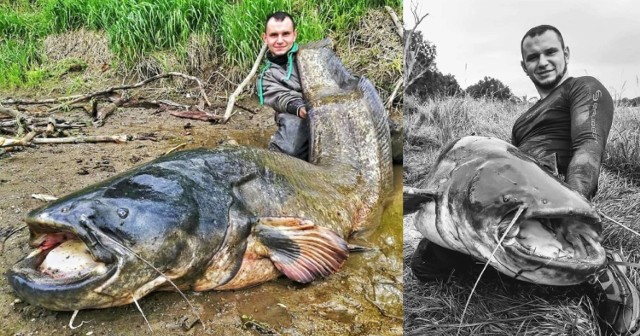 Czarek Kowalewicz i jego zdobycze