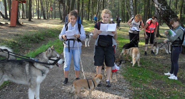 Tutaj rok 2013 i II Tyski Dogtrekking. Zdjęcia poglądowe.