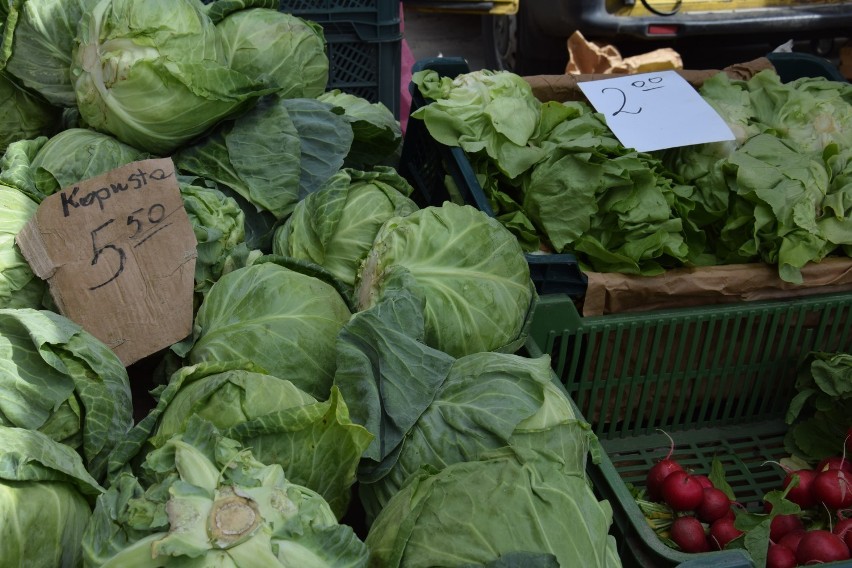 Ceny owoców i warzyw w Elblągu 2019. Ile kosztują warzywa i owoce? Ceny z elbląskiego targowiska [31.05.2019]