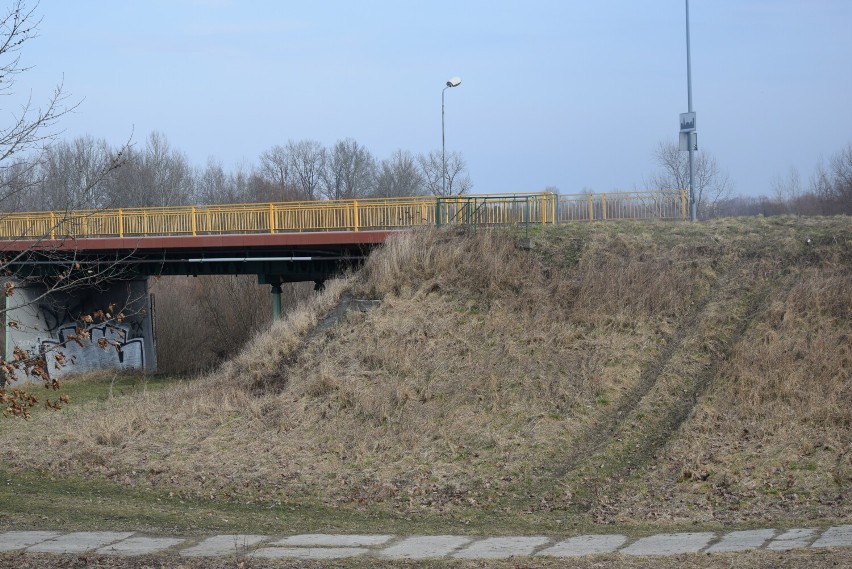 Pobojowisko nad Wisłoką. Mieszkańcy Dębicy alarmują!