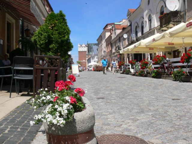 Sandomierz tonie w letnich kwiatach. Zobacz jak pięknie prezentują się skwery, donice i rabaty   

Na kolejnych slajdach zobacz jak wygląda ukwiecony Sandomierz.