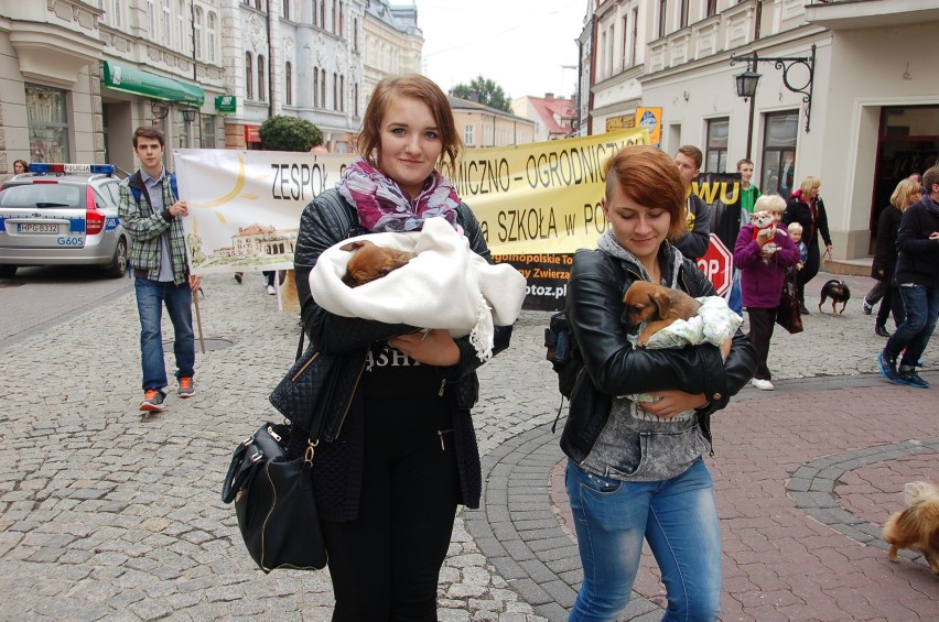 Marsz w obronie praw zwierząt, Tarnów 2014
