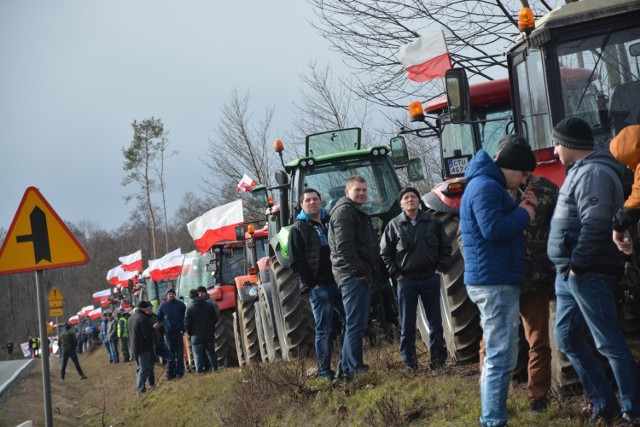 Kilkadziesiąt ciągników rolniczych prowadzonych przez gospodarzy niezadowolonych z rynkowej sytuacji pojawiło się 20 lutego na drogach regionu. Byli to rolnicy przede wszystkim z powiatów sępoleńskiego, tucholskiego i bydgoskiego. 

