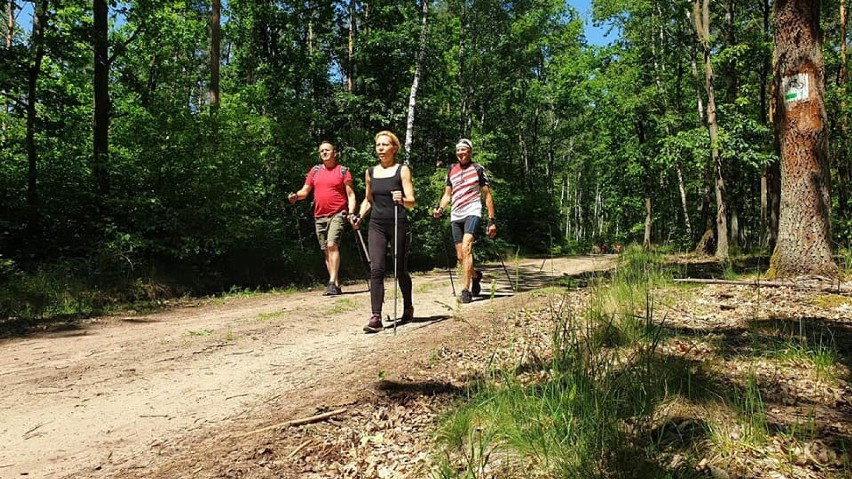 Gmina Gniezno. W Dębówcu powstały ścieżki do Nordic Walking [FOTO]