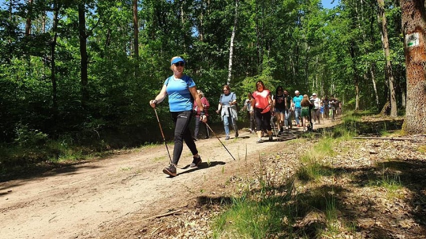 Gmina Gniezno. W Dębówcu powstały ścieżki do Nordic Walking [FOTO]