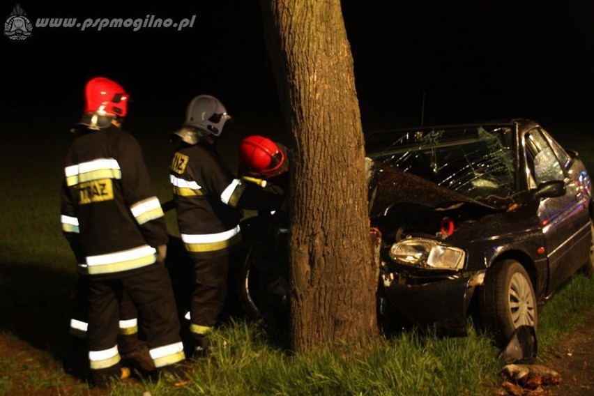 Wypadek Rzadkwin koło Mogilna - ford uderzył w drzewo