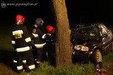 Wypadek koło miejscowości Rzadkwin. Ford wylądował na drzewie [ZDJĘCIA]