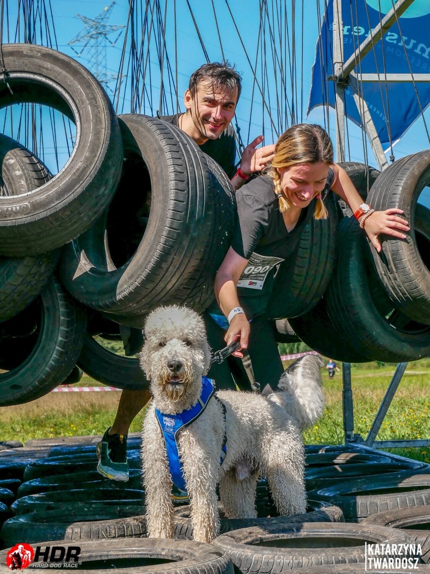 Hard Dog Race po raz pierwszy w Bydgoszczy! To wyjątkowe zawody z psami [zapowiedź, zdjęcia, wideo]