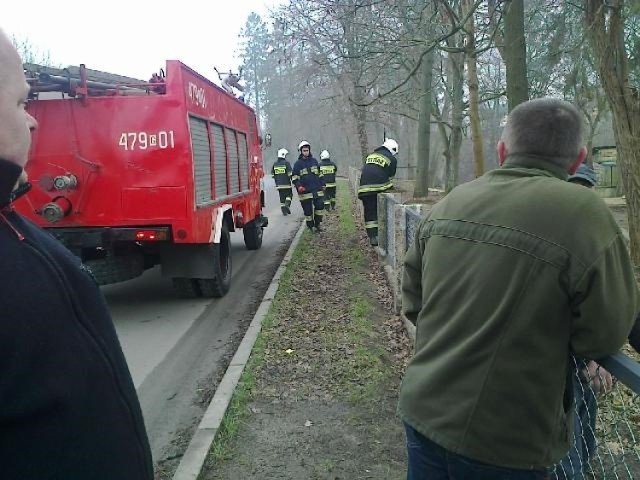 Maszewo.Policja znalazła w stawie zwłoki kobiety