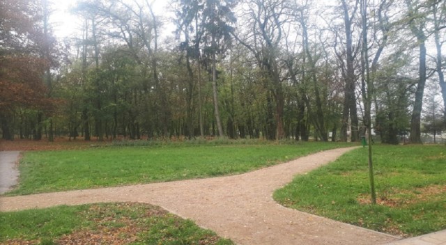 Park w Laskówcu nie jest aż tak znanym miejscem, dzięki czemu nie trafimy tam na tłumy ludzi. To skromna miejscówka, pomyślana raczej jako miejsce dla okolicznych mieszkańców, ale ma swój niewątpliwy urok i warto się tam wybrać.