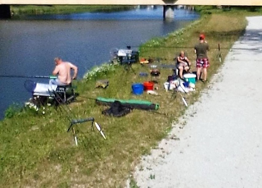 Nysa w Google Street View. Łowienie ryb w Nysie Kłodzkiej.