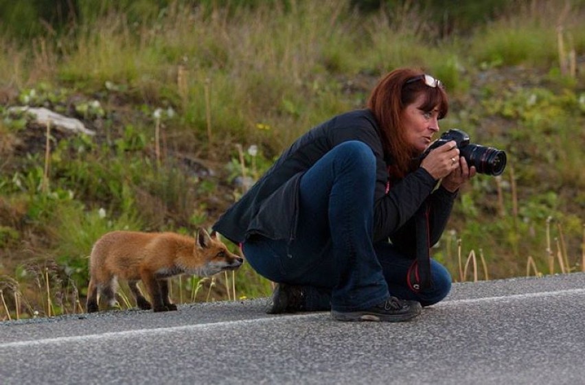 Fotografowie natury mają najlepszą pracę na świecie. Nie...