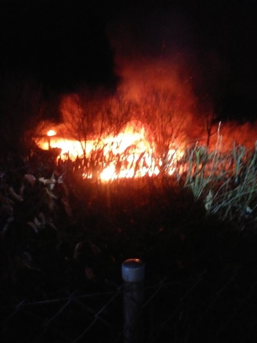 Pożar gmina Przywidz. W  Hucie Dolnej spalił się garaż z trzema samochodami 20.03.2020 r. |ZDJĘCIA
