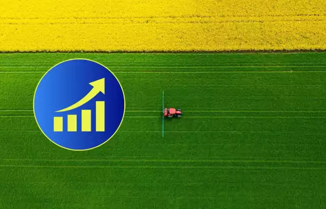 Sprawdzamy najnowsze dane o cenach gruntów ornych w Polsce
