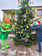 Wyjątkowa odblaskowa choinka jest w Lubichowie ZDJĘCIA 