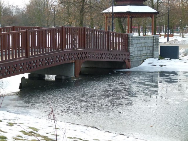 Kto zadba o Park Miejski w Zduńskiej Woli?