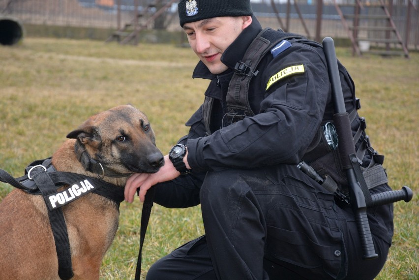 Mulka - policyjny pies z Suwałk wytropił złodzieja
