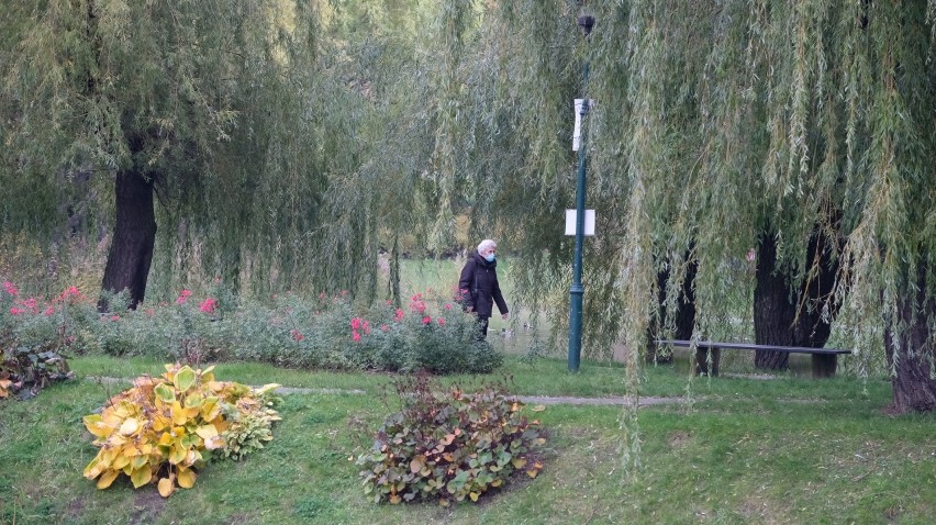 Piękna jesień w Parku Róż w Chorzowie.

Zobacz kolejne...