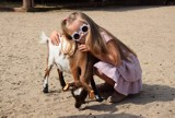 Zapraszamy na spacer po ZOO Safari Borysew koło Poddębic. ZDJĘCIA, VIDEO