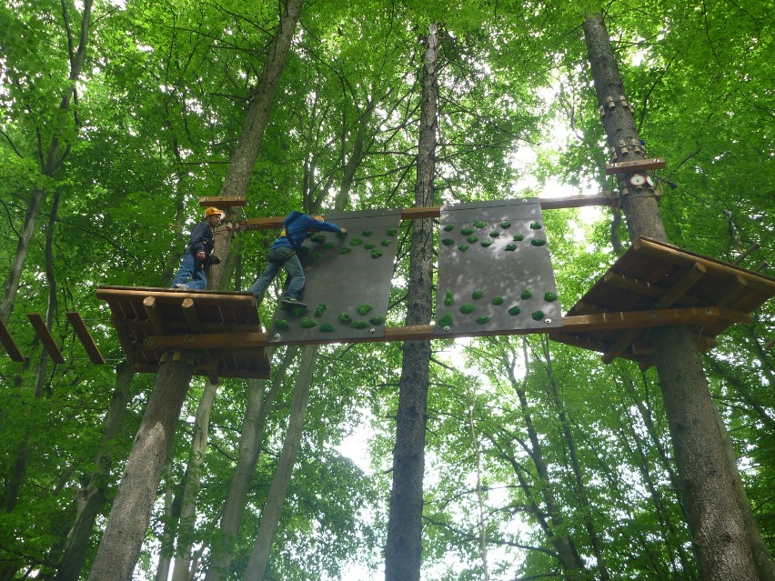 Park linowy zaprojektowany został pośród najwyższych drzew w ponad dwustu letnim lesie