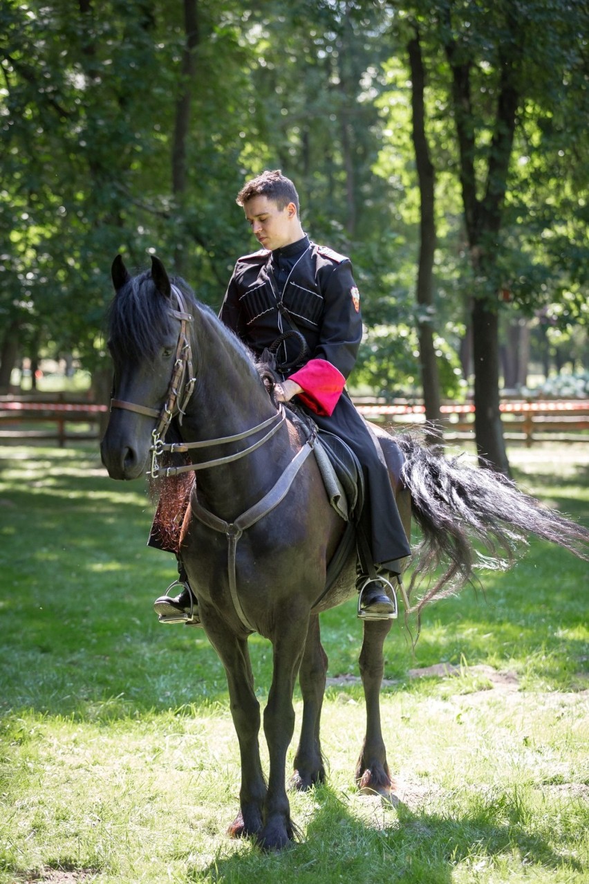 Pokazy konne w Kraśniku. Piknik historyczny w obiektywie Michała Lenarta. Zobacz galerię