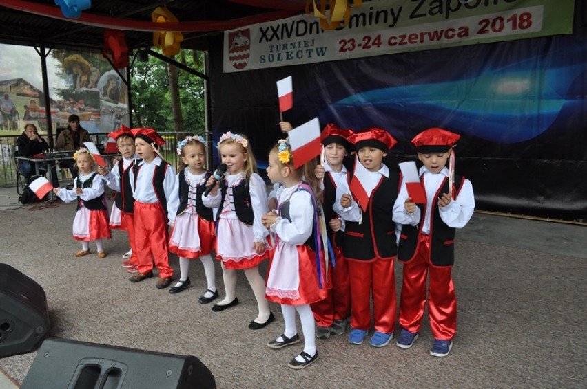 Dni Gminy Zapolice 2018. Piknik rodzinny [zdjęcia]