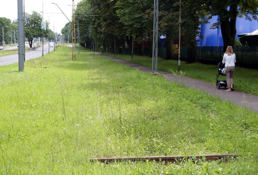 Rozbiorą zabytkowe tory przy alei Wojska Polskiego [zdjęcia] 