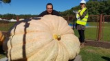 Mia waży równo 600 kg! Zobaczcie rekordzistkę z Festiwalu Dyni w Krapkowicach