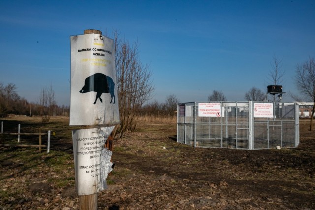 Odłownia na razie jest zamontowana na terenie należącym do Uniwersytetu Jagiellońskiego. W przyszłości może być przenoszona