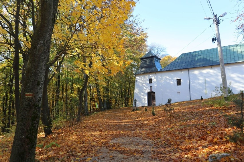 Złota jesień w Kielcach. Zachwycające barwy na Karczówce