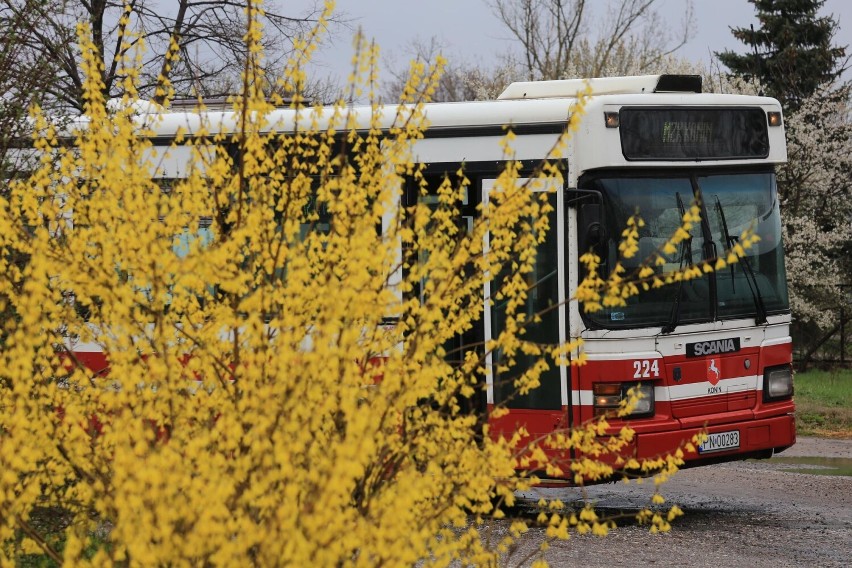 Konin. Drugie urodziny Stowarzyszenia RetroTrans. Komunikacja miejska to ich pasja