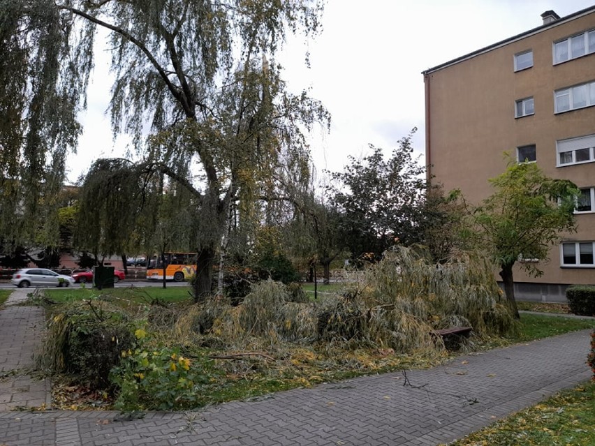 Powiat wolsztyński. Strażacy interweniowali w związku z porywistym wiatrem [FOTO]